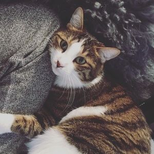 Meet your Posher, Choya